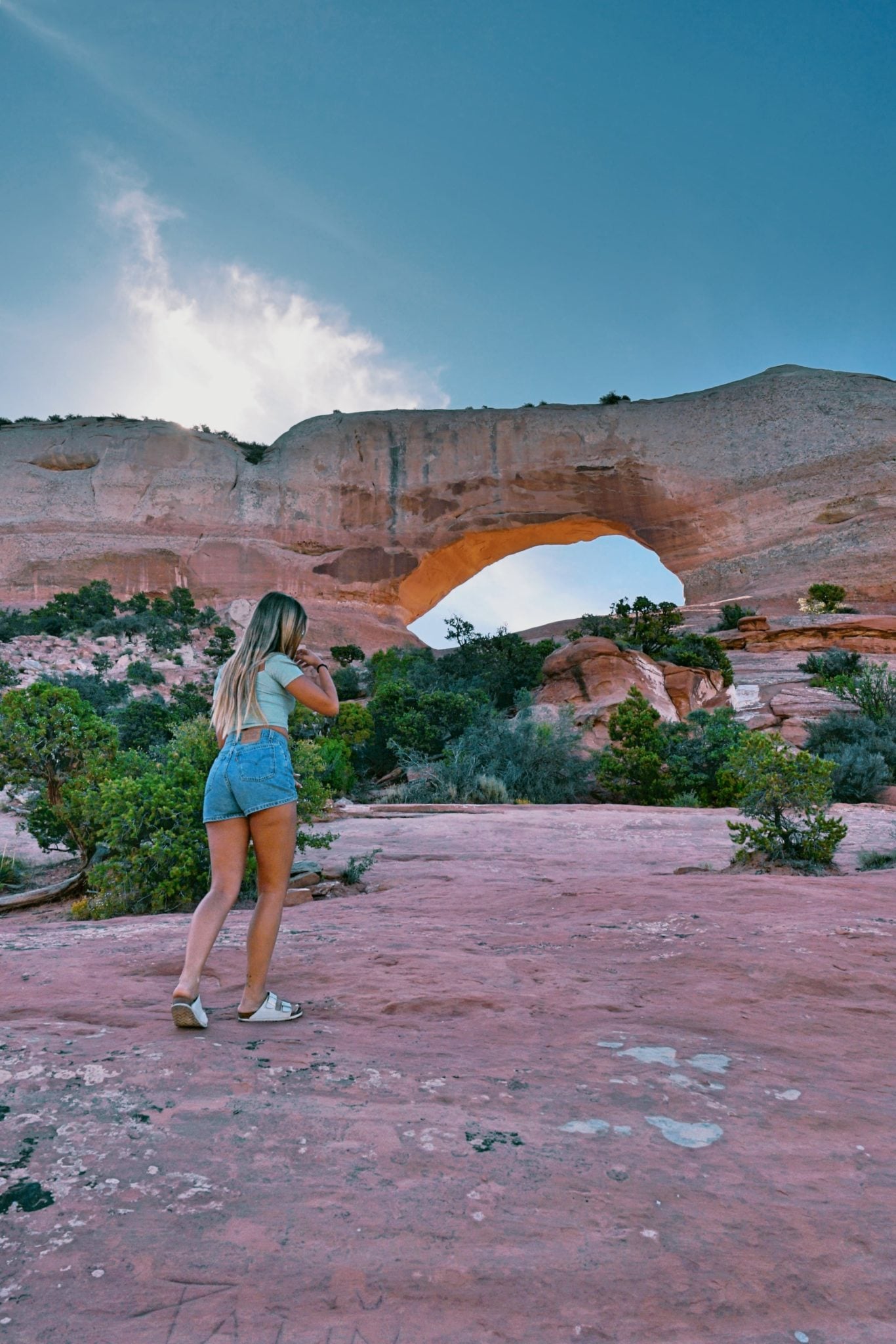 wilson arch